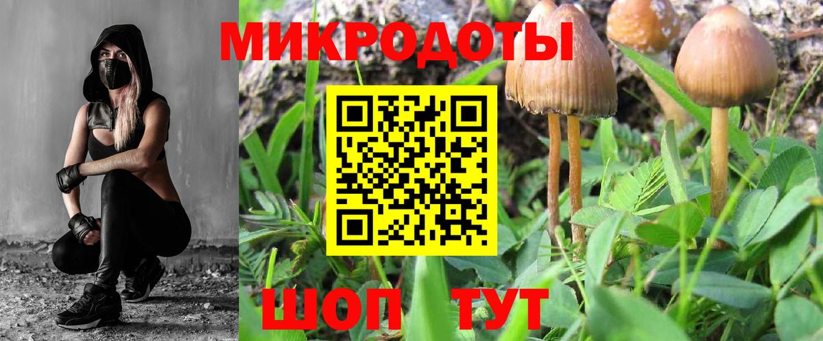 Галлюциногенные грибы Psilocybe  Вход с VPN  Можайск 